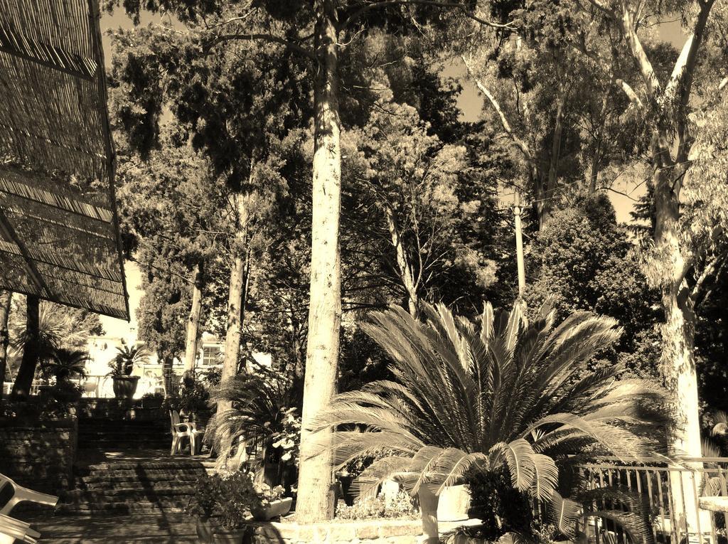 Hotel Eden Perdifumo Bagian luar foto